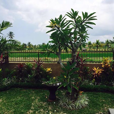 Villa Bali Green Убуд Екстер'єр фото